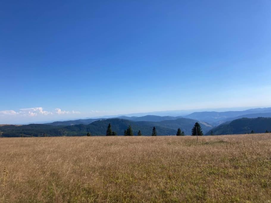 Feldberg Apartment - Direkt An Der Skipiste - Mit Sauna Zewnętrze zdjęcie