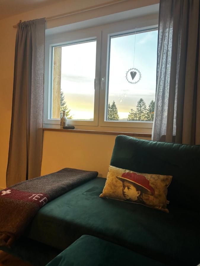 Feldberg Apartment - Direkt An Der Skipiste - Mit Sauna Zewnętrze zdjęcie
