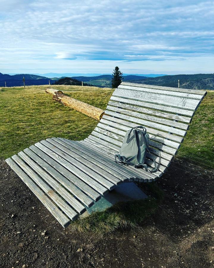 Feldberg Apartment - Direkt An Der Skipiste - Mit Sauna Zewnętrze zdjęcie