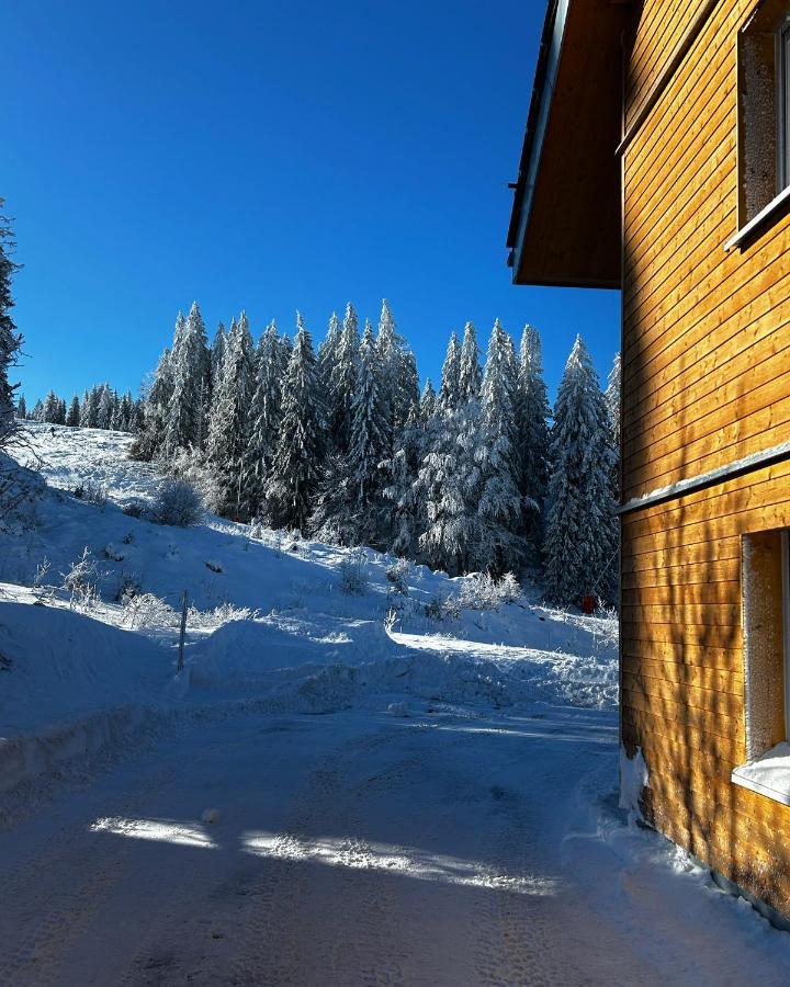 Feldberg Apartment - Direkt An Der Skipiste - Mit Sauna Zewnętrze zdjęcie