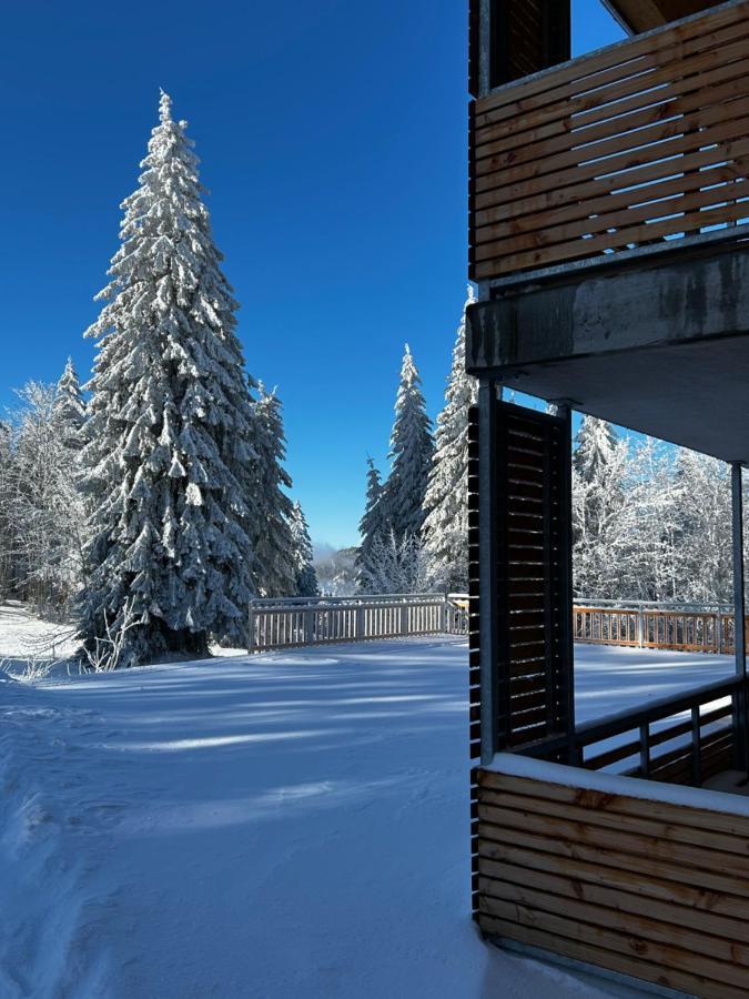 Feldberg Apartment - Direkt An Der Skipiste - Mit Sauna Zewnętrze zdjęcie