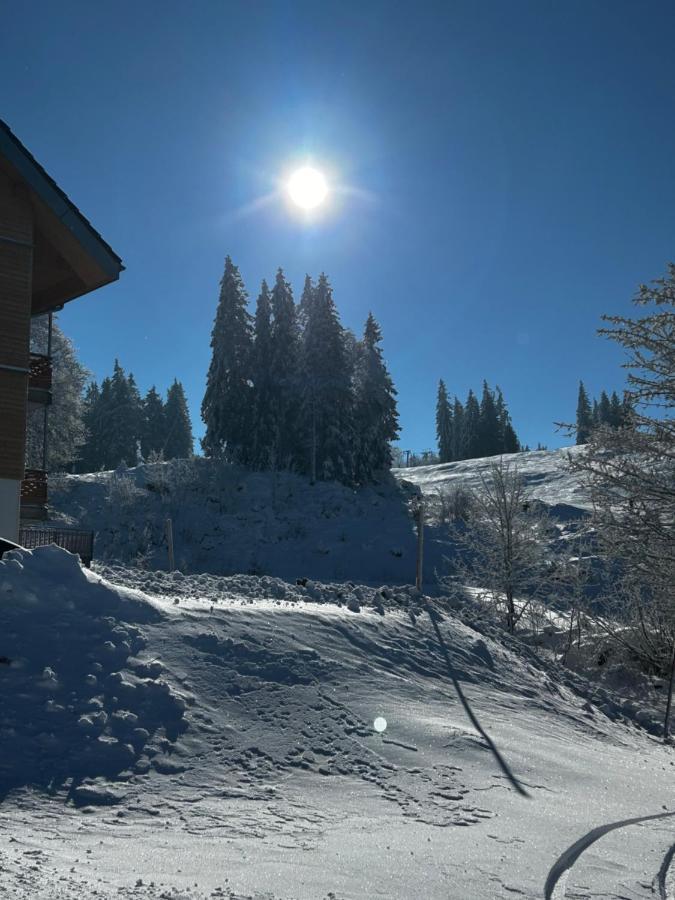 Feldberg Apartment - Direkt An Der Skipiste - Mit Sauna Zewnętrze zdjęcie