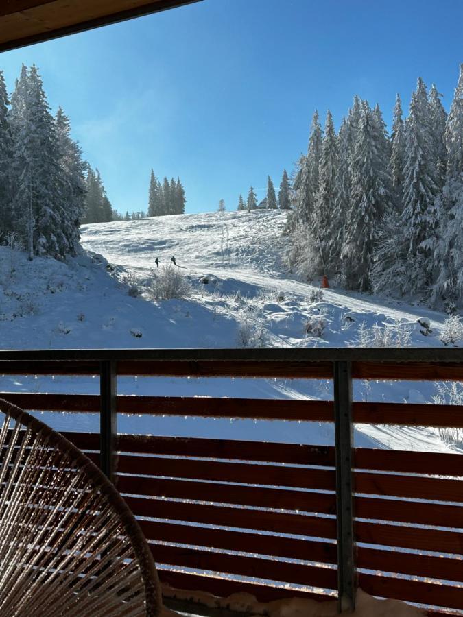 Feldberg Apartment - Direkt An Der Skipiste - Mit Sauna Zewnętrze zdjęcie